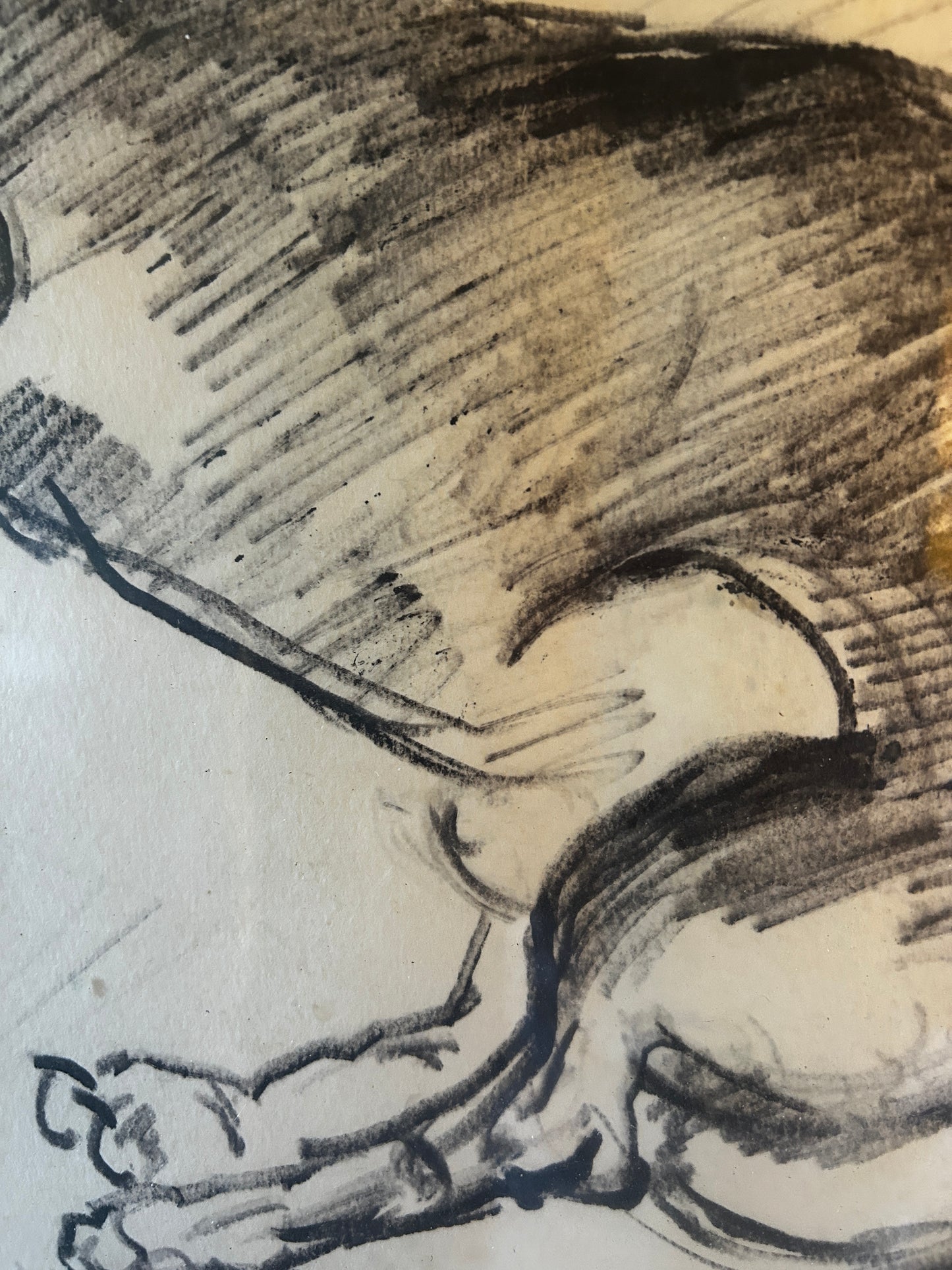 Drawing of a Dachshund by Russell Reeve British, 1895 -1970