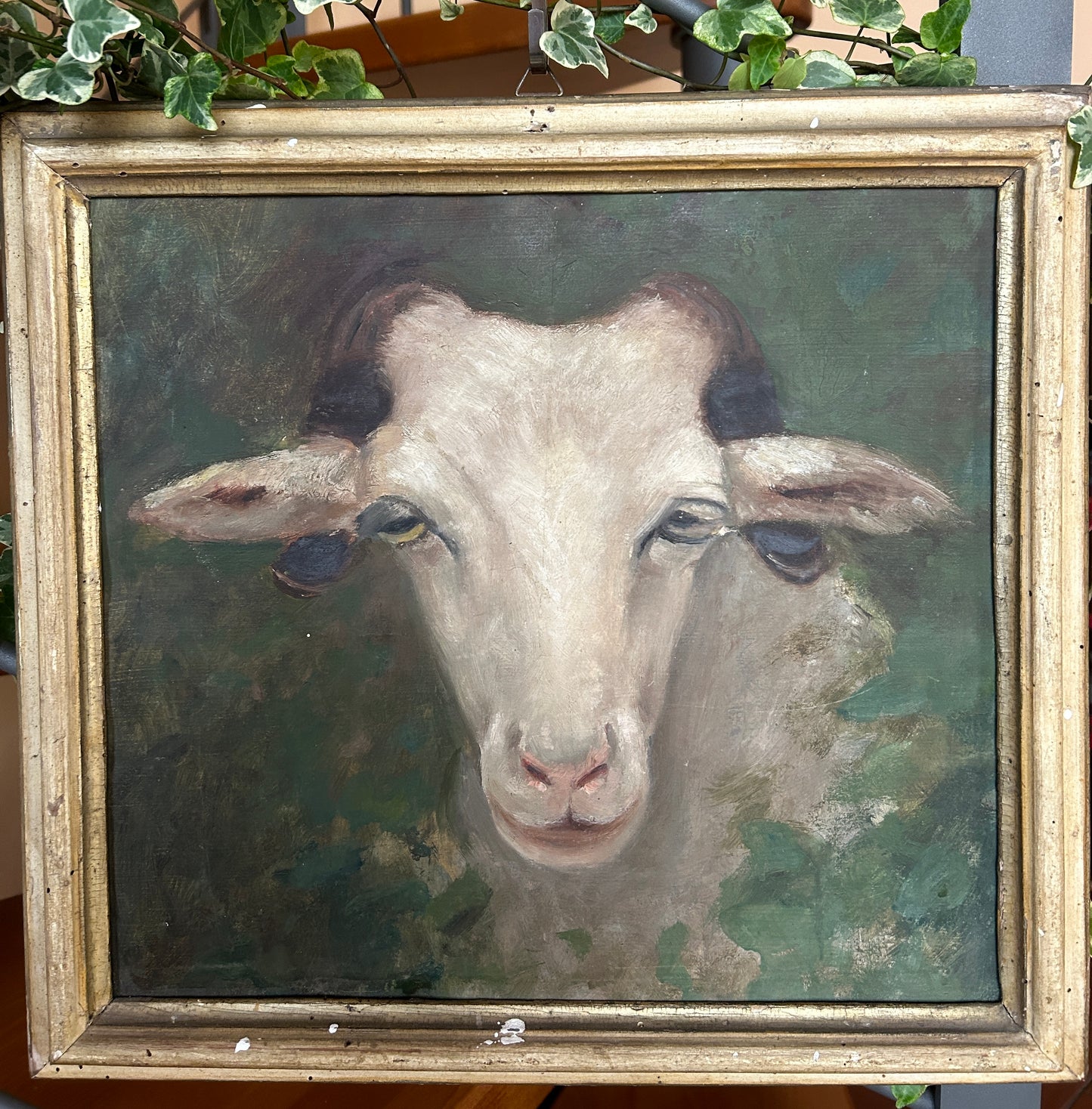 Portrait of a Goat