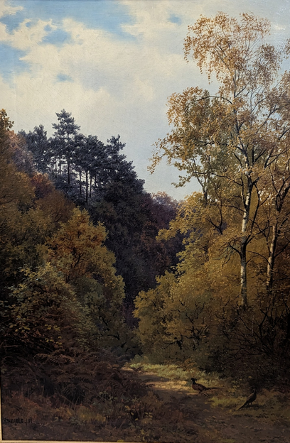 Pheasant In A Wooden Landscape