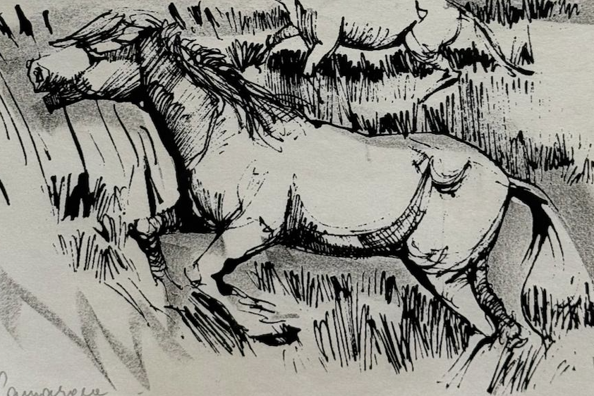 “Wild Horses” Mid Century Pen and Ink Signed