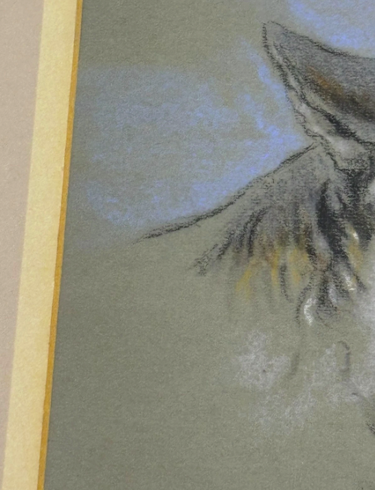 Coyote by Raymond John Vandenburgh Original Signed Pastel