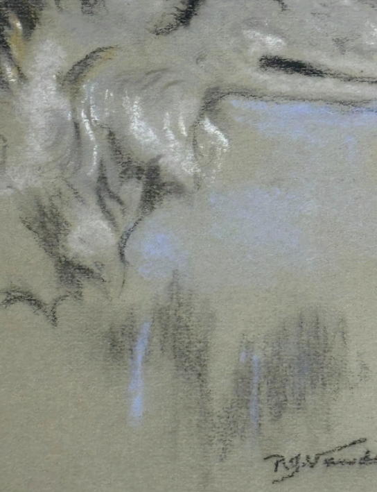 Coyote by Raymond John Vandenburgh Original Signed Pastel