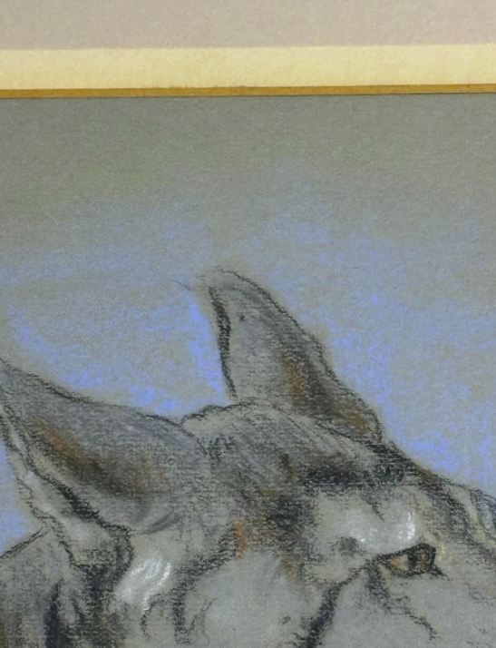 Coyote by Raymond John Vandenburgh Original Signed Pastel