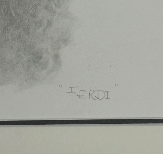 Original Pencil Sketch of Dog Bichon Frise Signed
