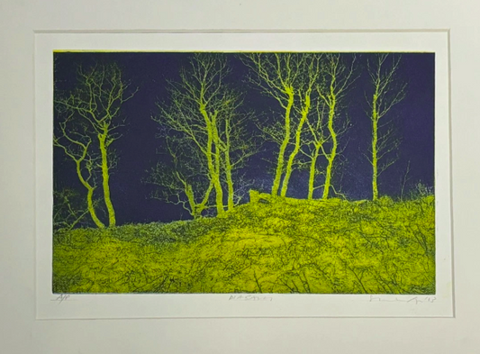 Original Forest Lithography Green and Blue Signed