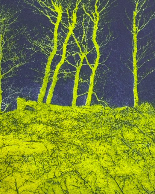 Original Forest Lithography Green and Blue Signed