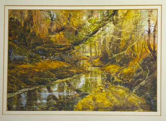 Ann Whalley Secret Waters Autumn Forest Stream