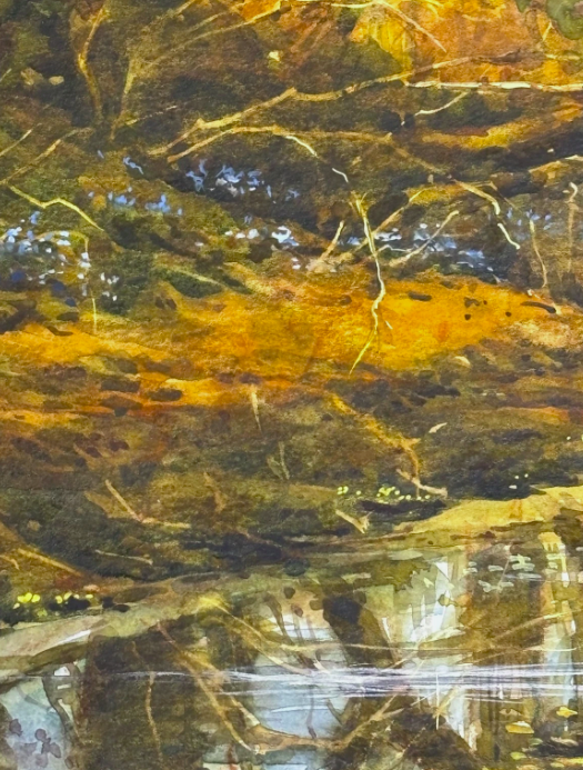 Ann Whalley Secret Waters Autumn Forest Stream