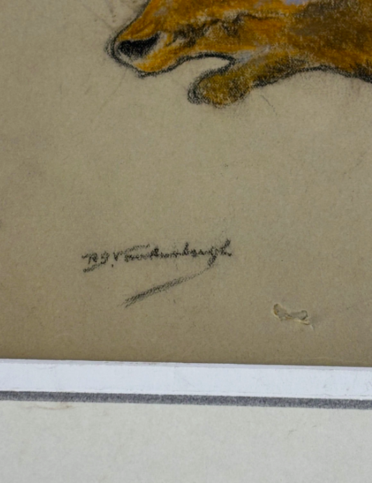 Raymond John Vandenburgh (1889-1960's) Cow Moose British Pastel Signed