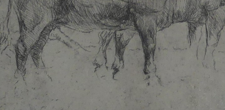 SIR ALFRED MUNNINGS 1878-1959 ORIGINAL ETCHING CATTLE BENEATH TREES