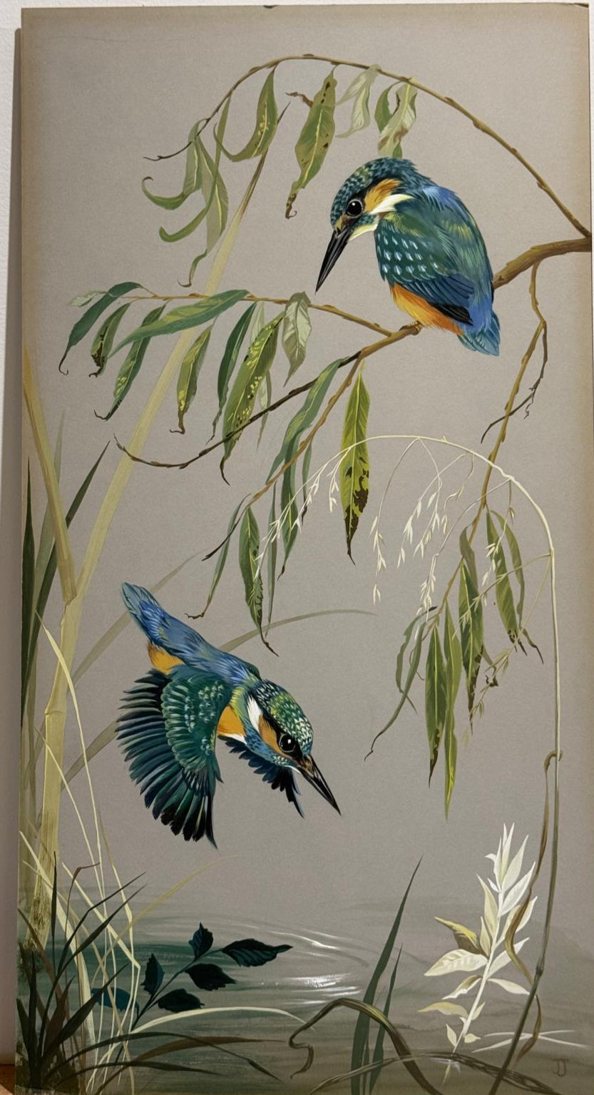 Kingfisher Wild Birds Original Watercolour on Board 1950’s Signed