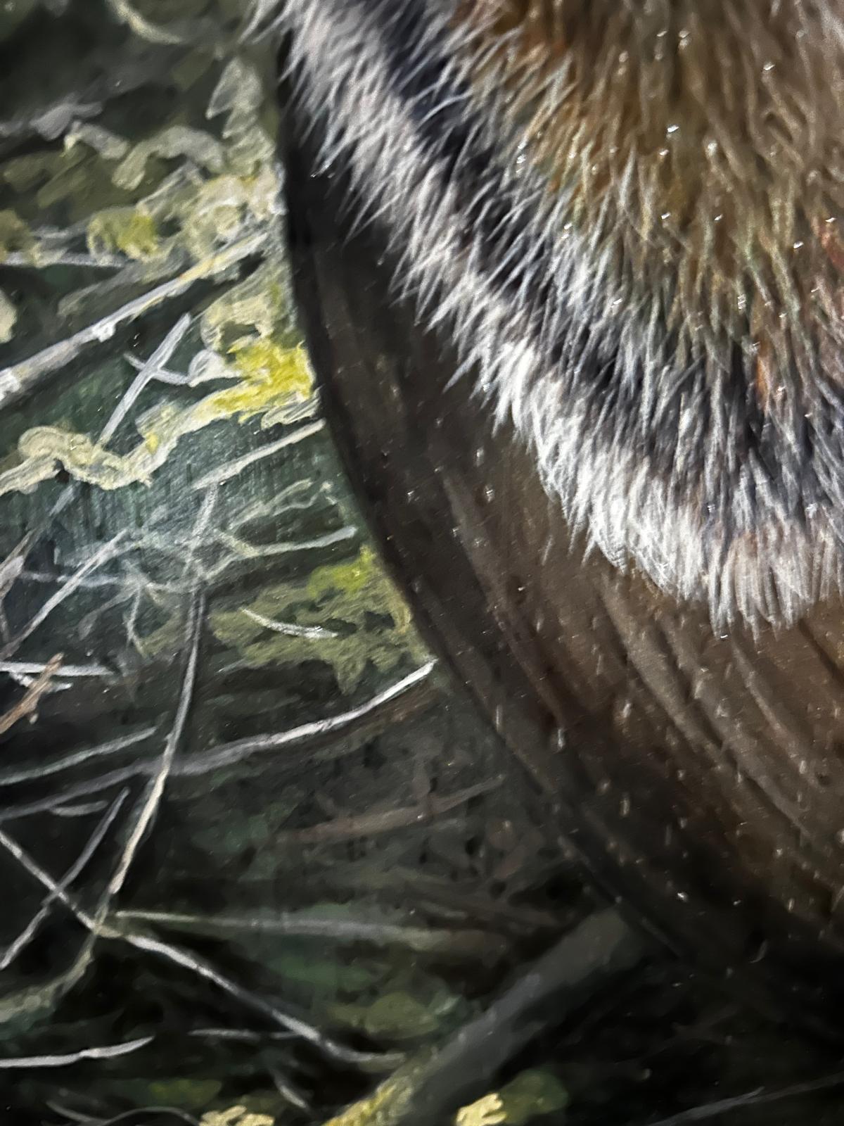 John Wachorn oil Painting of a Woodland Squirrel