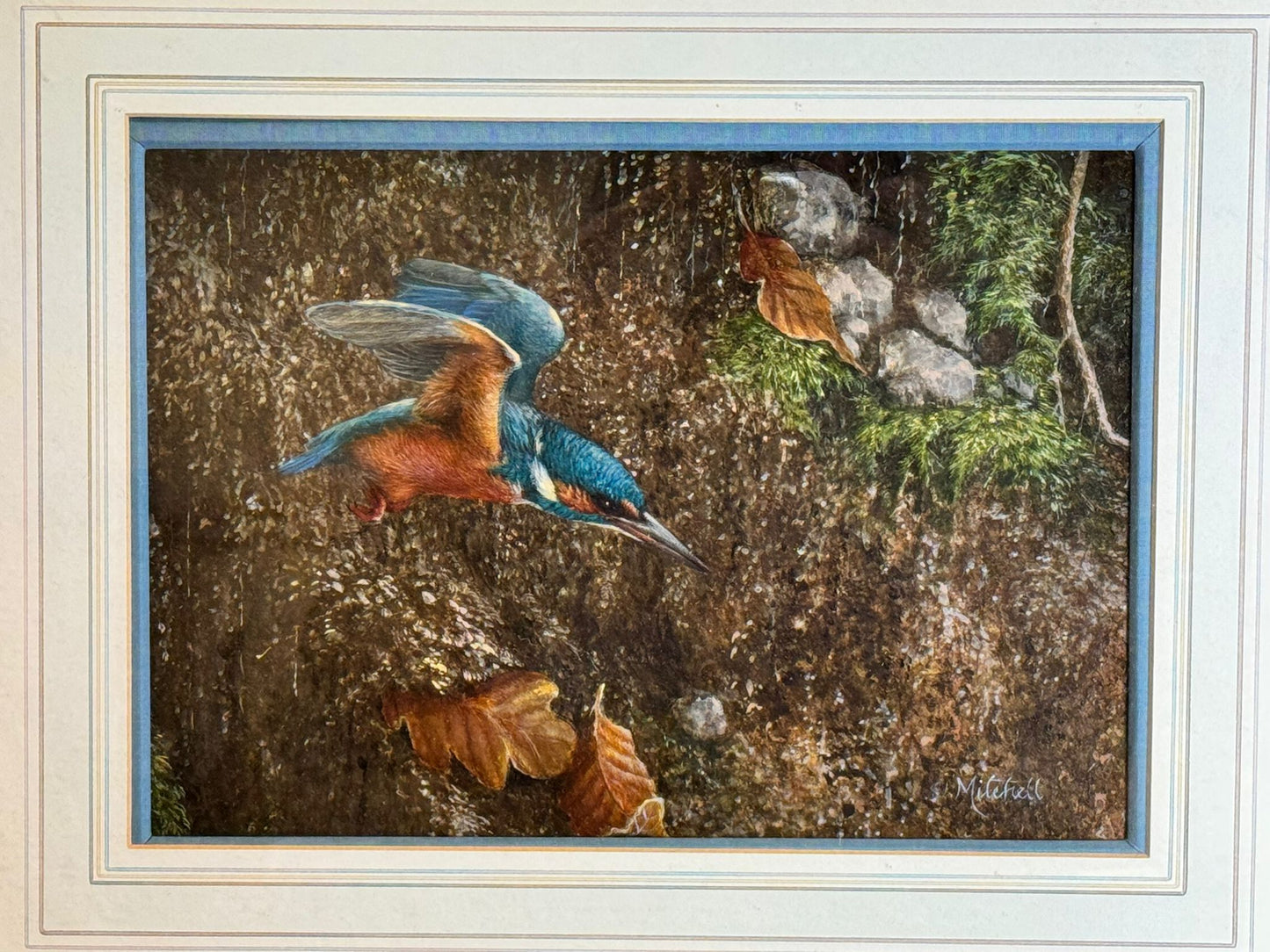 S MITCHELL, XX ORIGINAL OIL ON BOARD KINGFISHER BIRD DECORATIVE FRAMED SIGNED