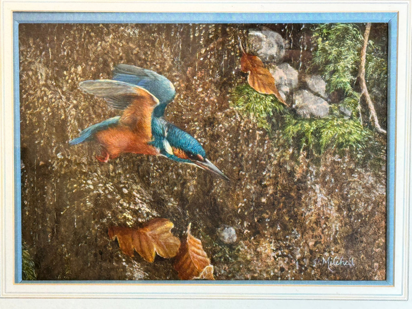 S MITCHELL, XX ORIGINAL OIL ON BOARD KINGFISHER BIRD DECORATIVE FRAMED SIGNED