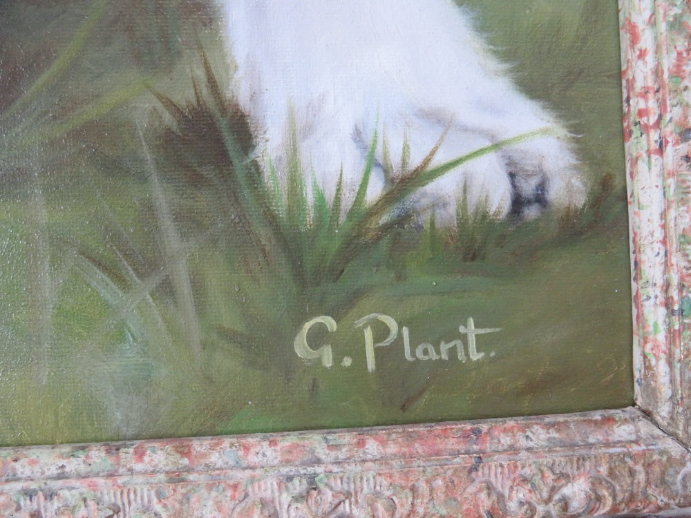 Oil on Canvas "Border Collie"  G. PLANT (XX)