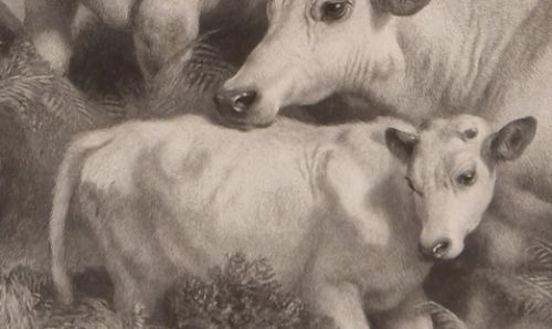 SIR EDWIN LANDSEER PRA. Wild Cattle at Chillingham 1869 etching signed by THOMAS LANDSEER