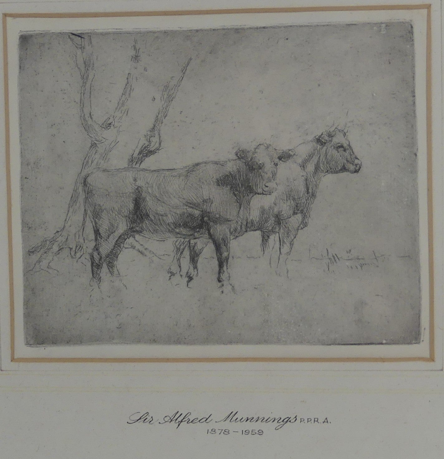 SIR ALFRED MUNNINGS 1878-1959 ORIGINAL ETCHING CATTLE BENEATH TREES