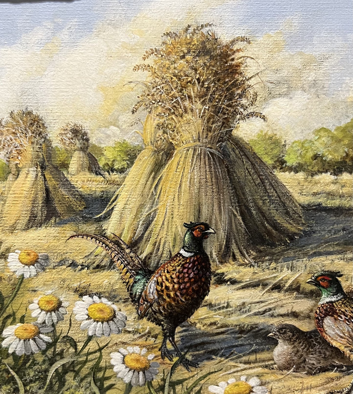 C1970s Oil on Canvas “Pheasant in Field”