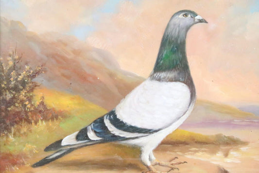 LATE 19TH/EARLY 20TH CENTURY OIL ON BOARD STUDY RACING PIGEON