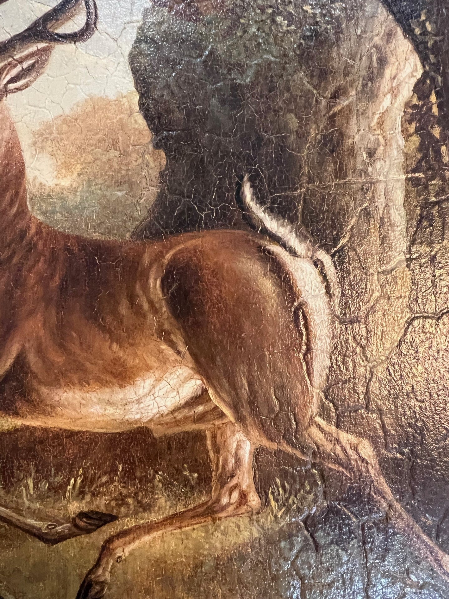C1800 OIL ON BEVELLED PANEL "STAG IN FOREST"