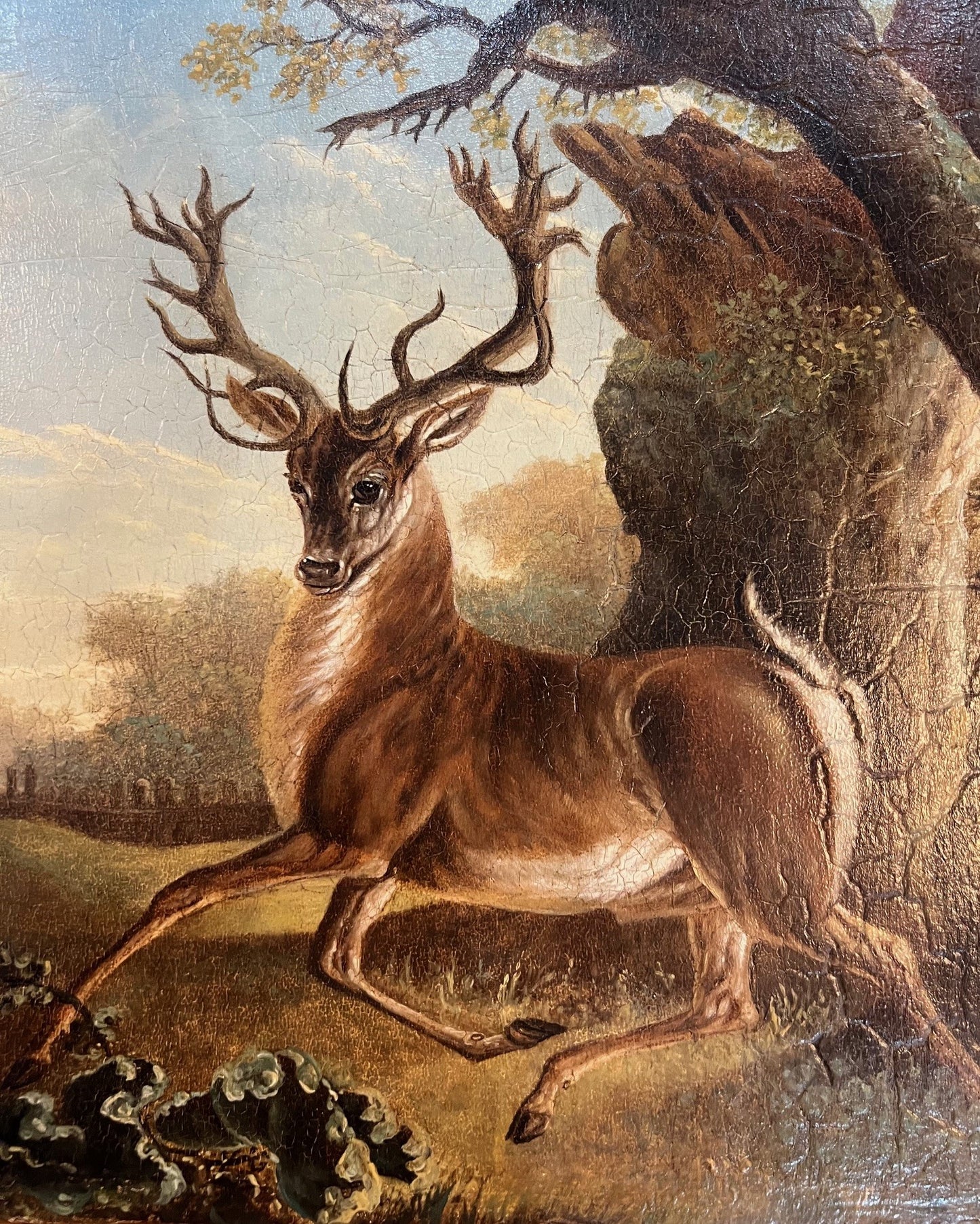 C1800 OIL ON BEVELLED PANEL "STAG IN FOREST"