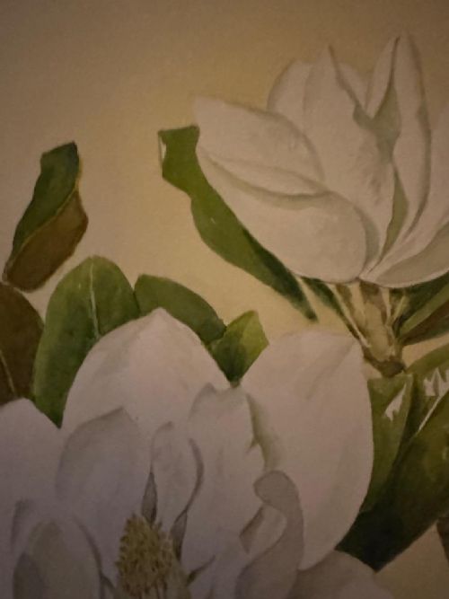 FRANK GALSWORTHY 1863 - 1959 LARGE FLOWER WATERCOLOUR 'MAGNOLIA GRANDIFLORA' 1956 SIGNED