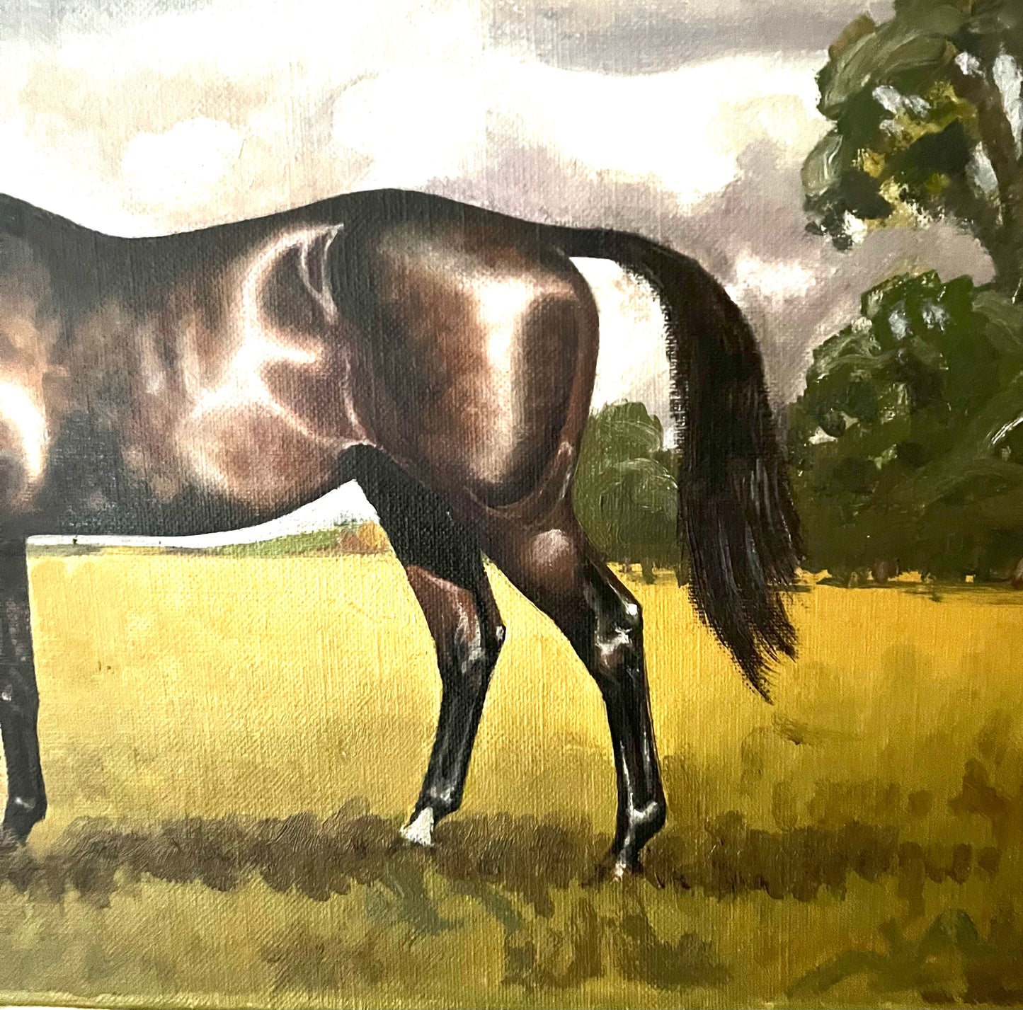 A Pair of Mid Century Horse Portraits