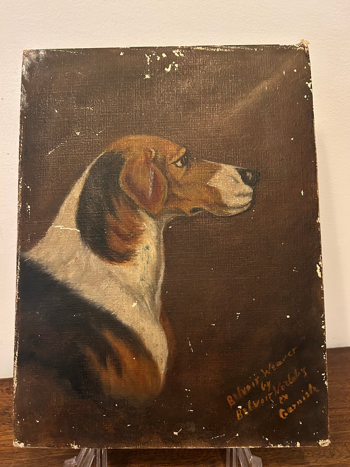 Profile of a Beagle  Victorian oil on board