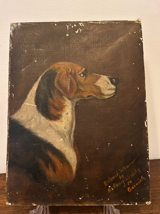 Profilo di un Beagle vittoriano, olio su tavola