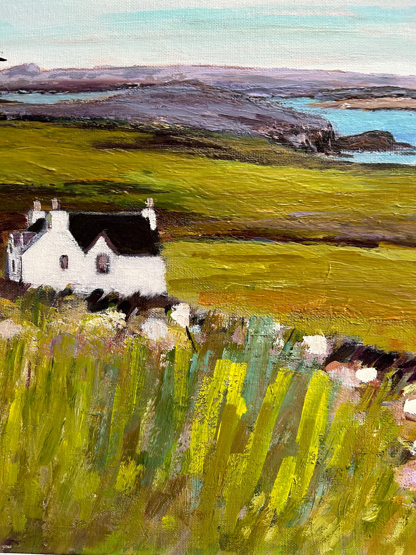 Cnoc View, Bettyhill By Jane Macrae