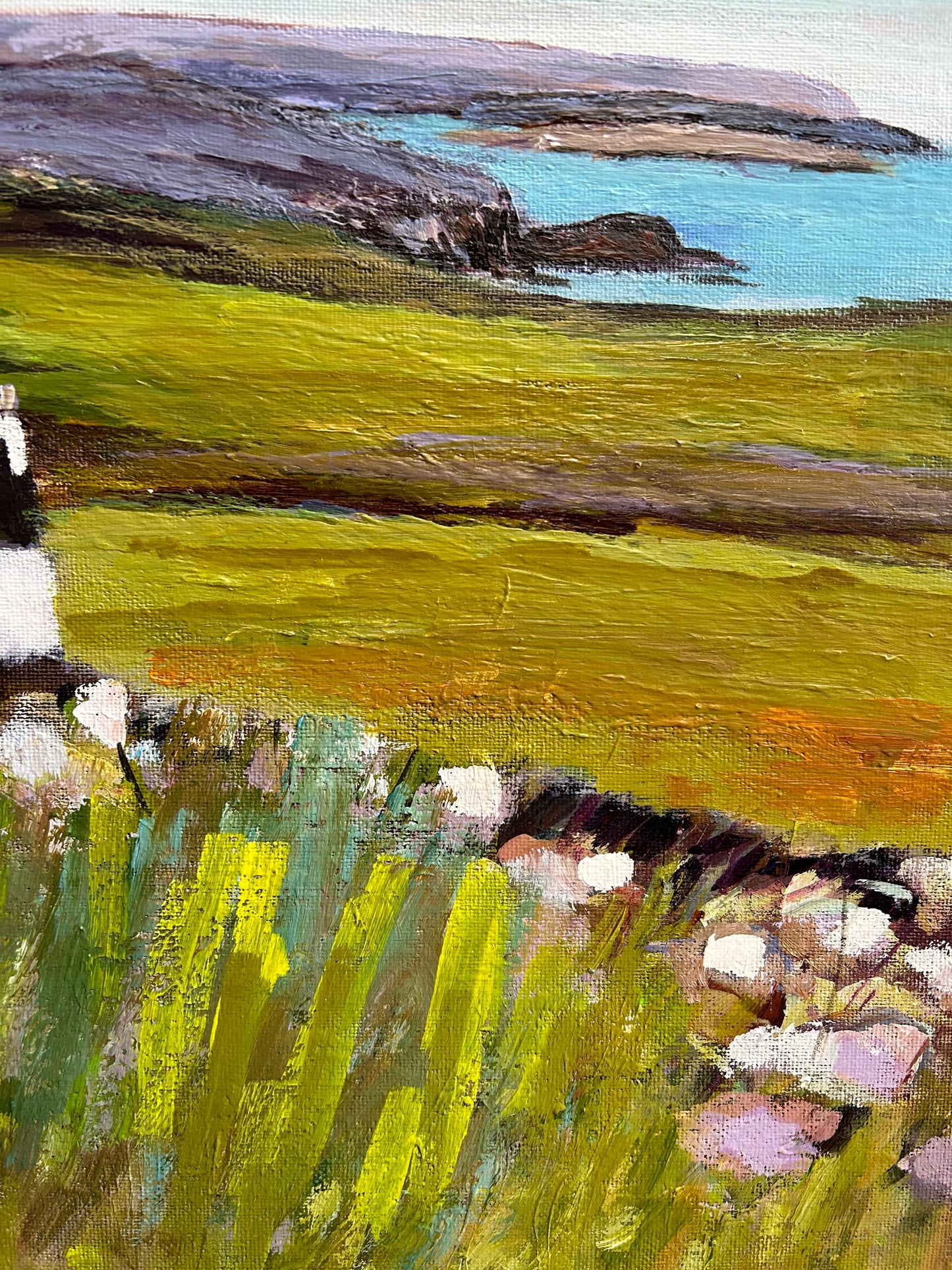 Cnoc View, Bettyhill By Jane Macrae