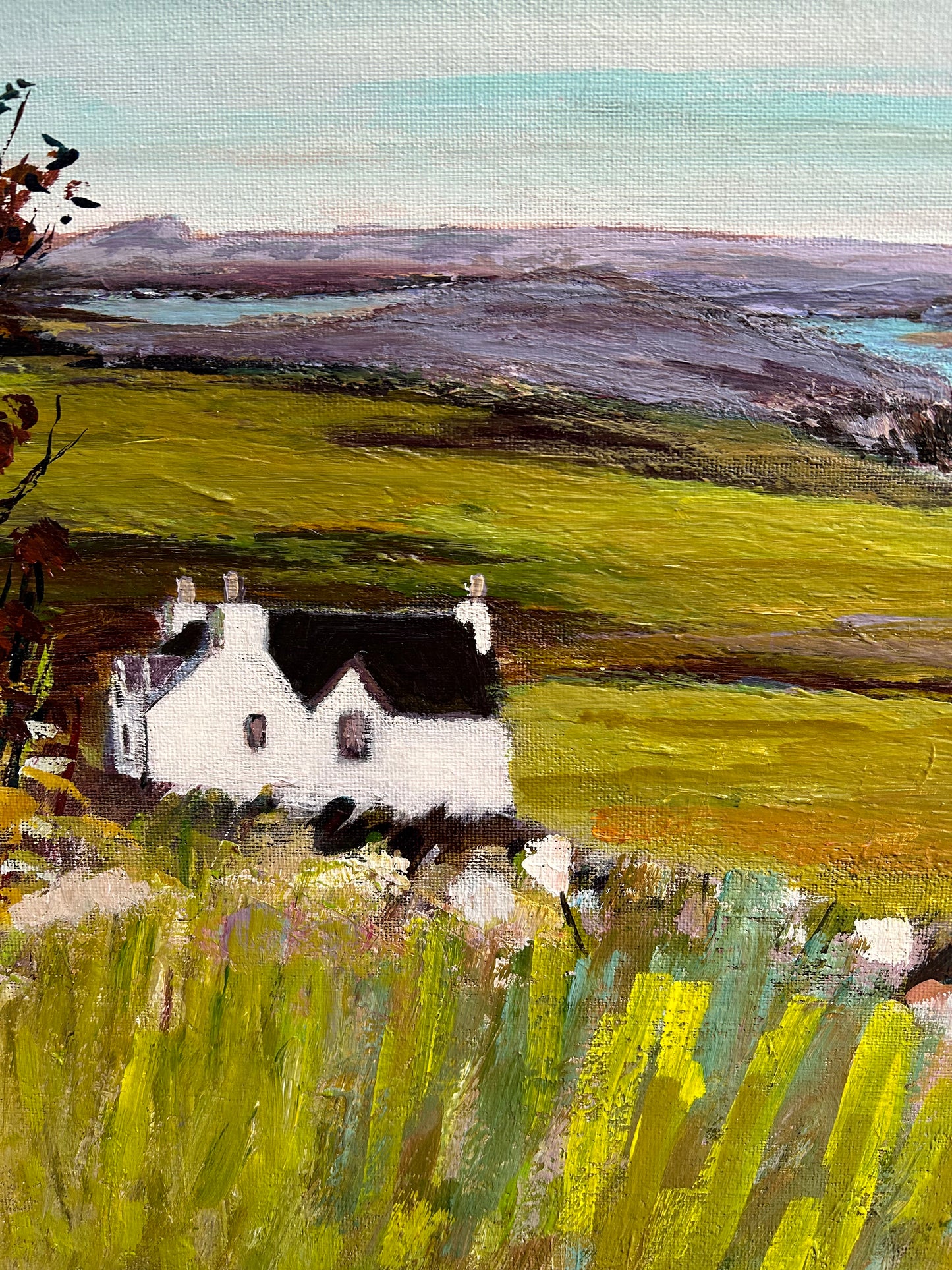 Cnoc View, Bettyhill By Jane Macrae