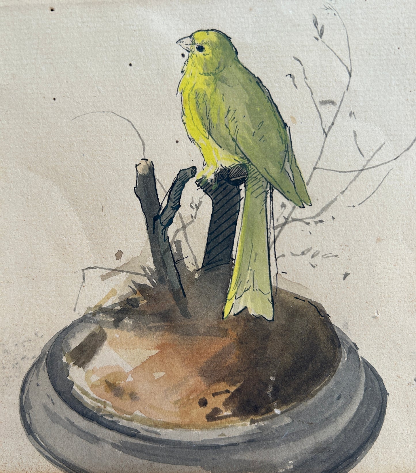 Parakeets watercolour by John Sergeant (1937-2010)