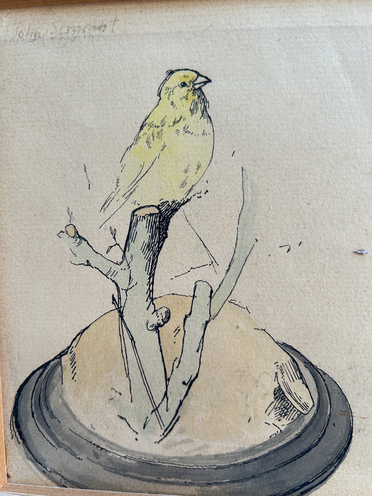 Parakeets watercolour by John Sergeant (1937-2010)