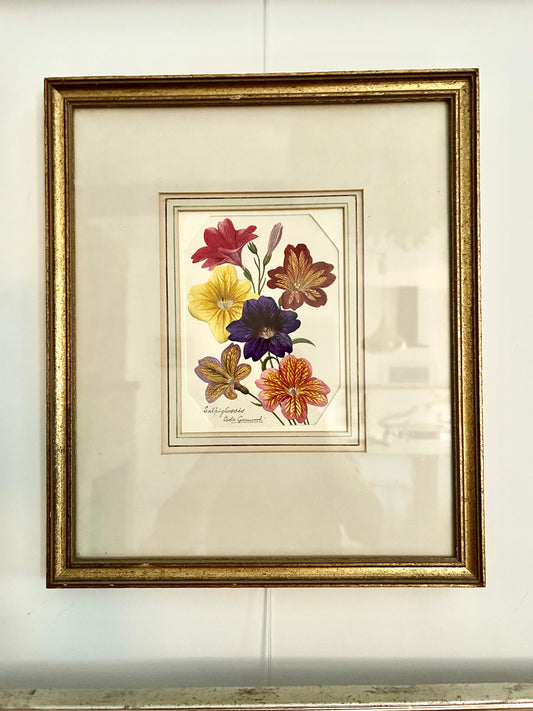 Salpiglossis by Leslie Greenwood Original Watercolour