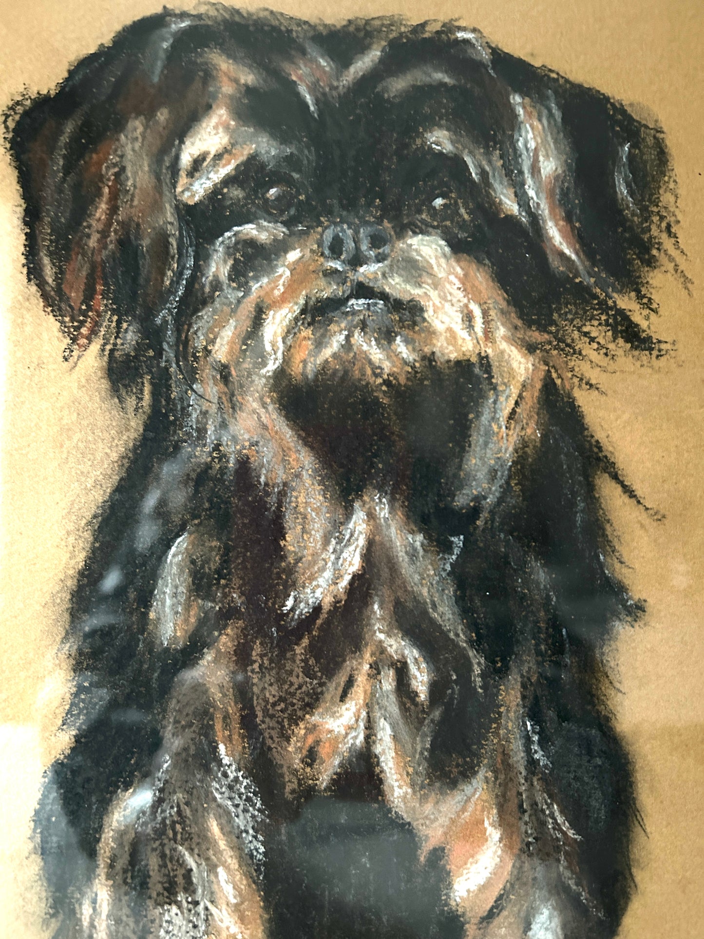 Mid century Portrait of a Yorkshire Terrier