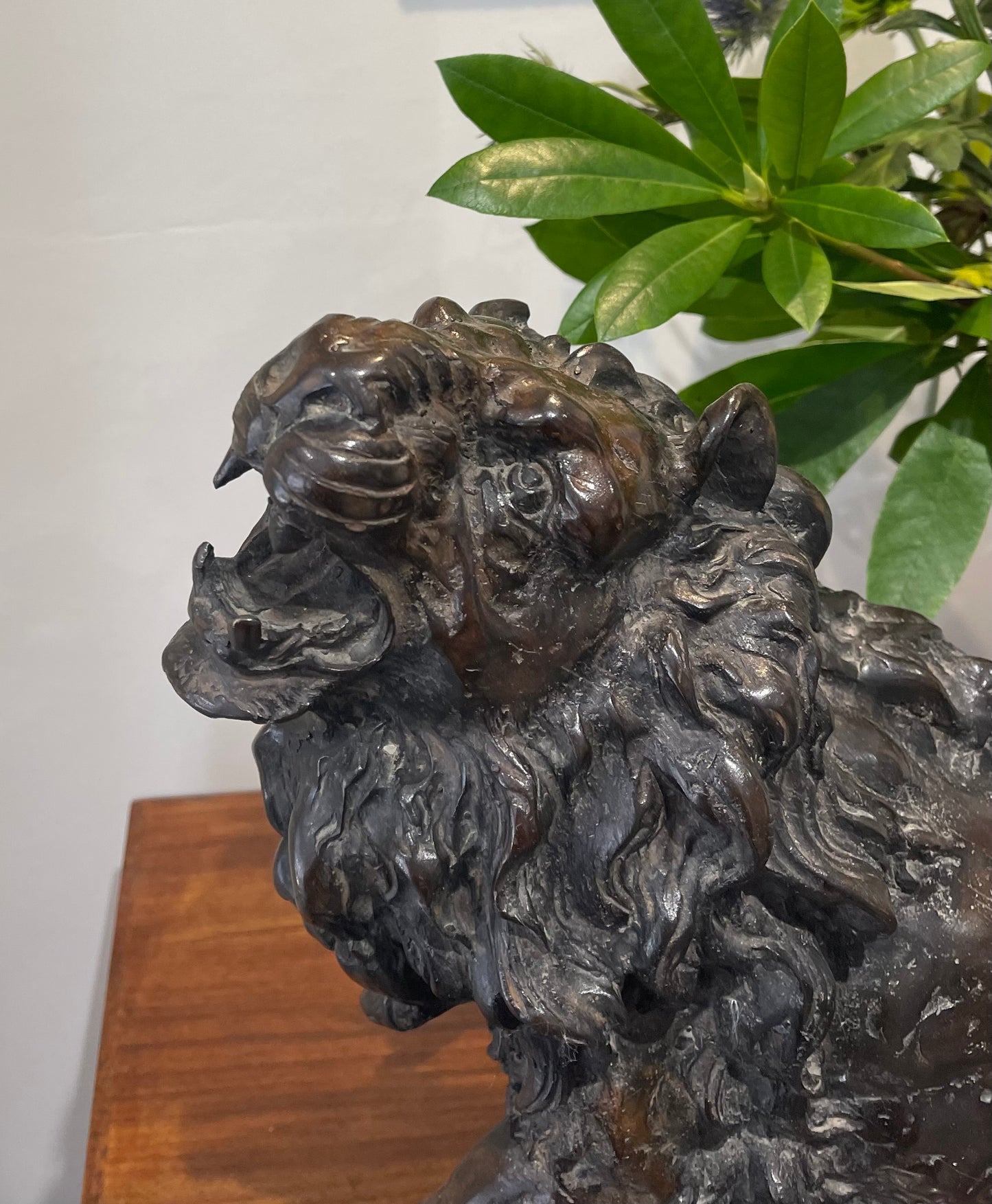 Large Bronze Lion Sculpture C1920