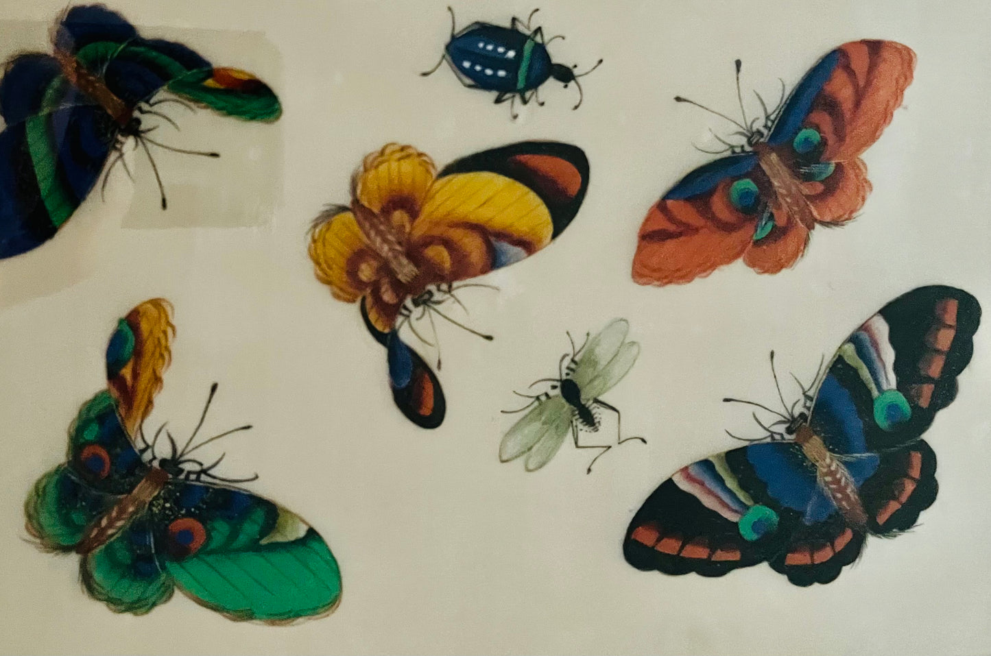 CHINESE PITH PAPER PAINTING C1860S BUTTERFLY AND INSECTS
