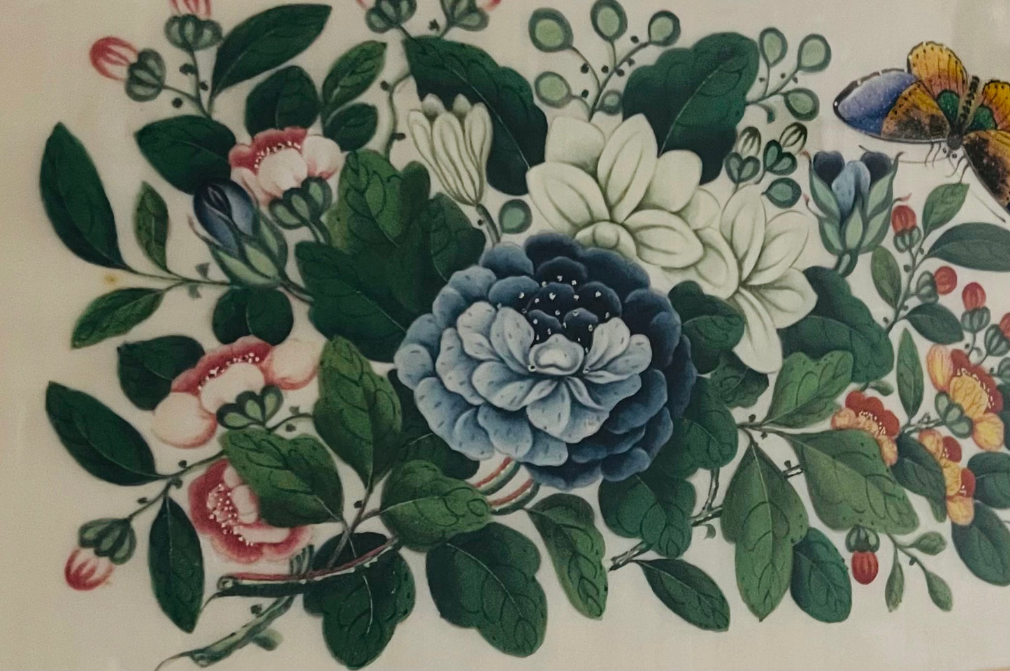 Chinese pith paper painting c1860s Flowers & butterfly