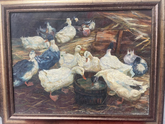 Stormo di anatre con secchio d'acqua