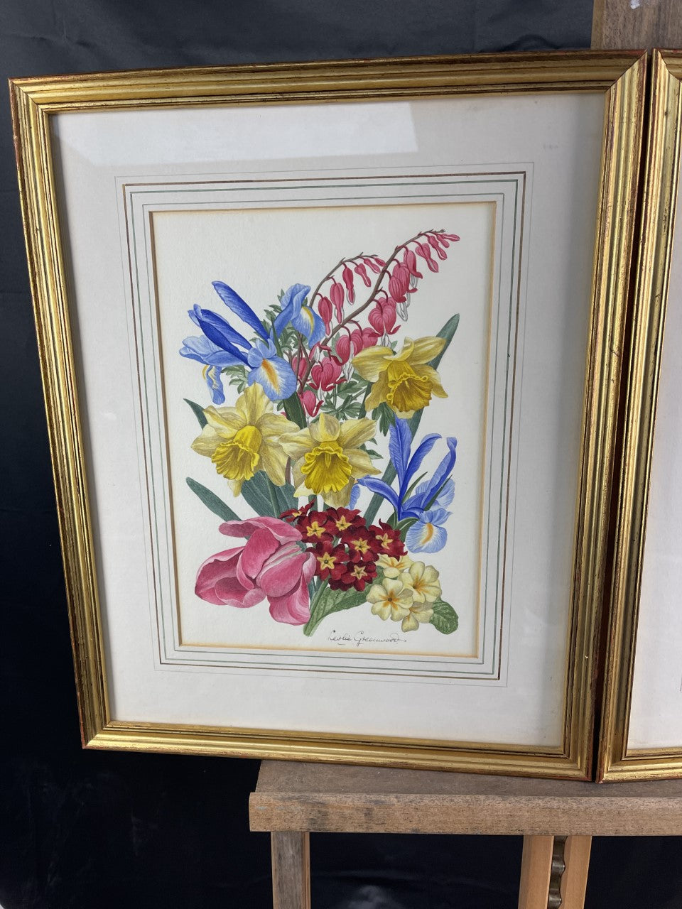 Leslie Greenwood (1907-1987): Collezione di 4 acquerelli botanici originali
