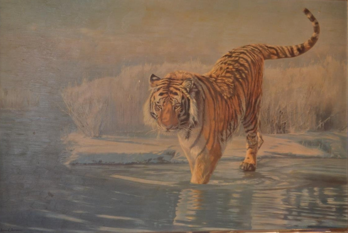 Leonard Pearman (British, 1912-2003)  Siberian Tiger